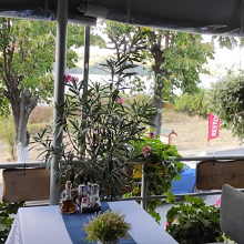Restoran Tekija - pogleda na Dunav