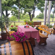 Restran Tekija - basta restorana
